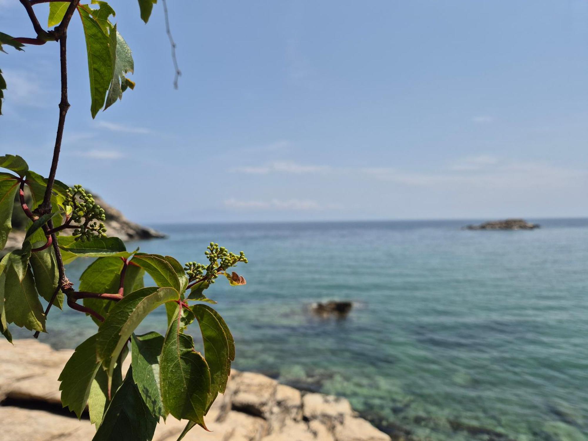 Beach Apartment PalaiónTsiflíkion Dış mekan fotoğraf